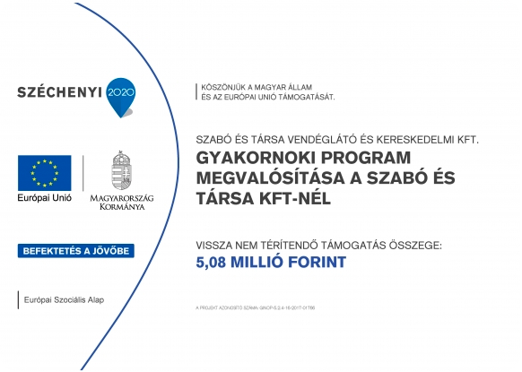Gyakornoki program megvalósítása